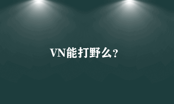 VN能打野么？