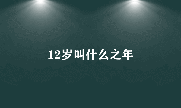 12岁叫什么之年