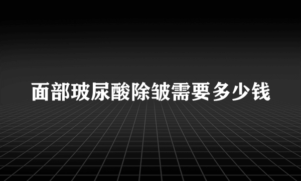 面部玻尿酸除皱需要多少钱