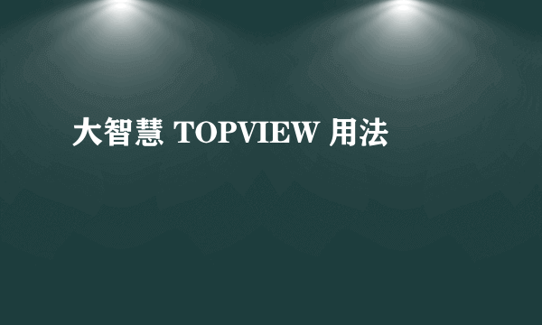 大智慧 TOPVIEW 用法