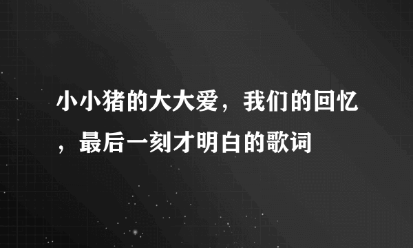 小小猪的大大爱，我们的回忆，最后一刻才明白的歌词