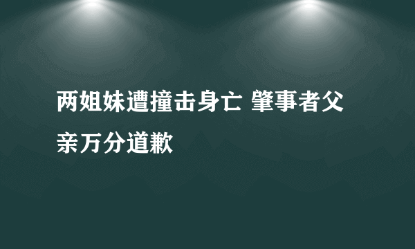 两姐妹遭撞击身亡 肇事者父亲万分道歉