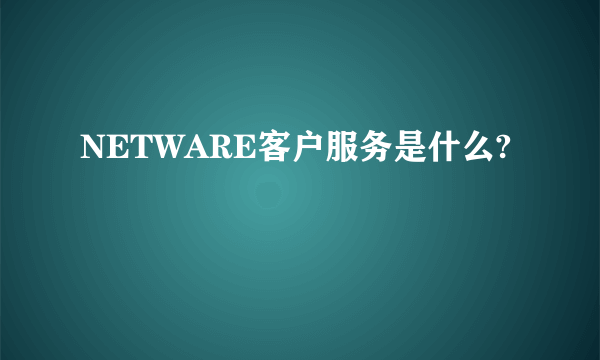 NETWARE客户服务是什么?