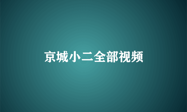 京城小二全部视频