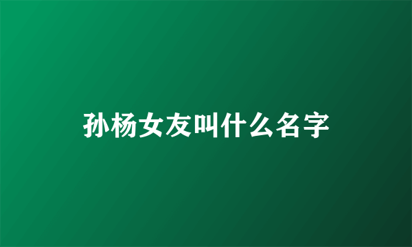 孙杨女友叫什么名字