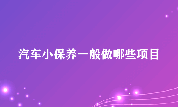 汽车小保养一般做哪些项目