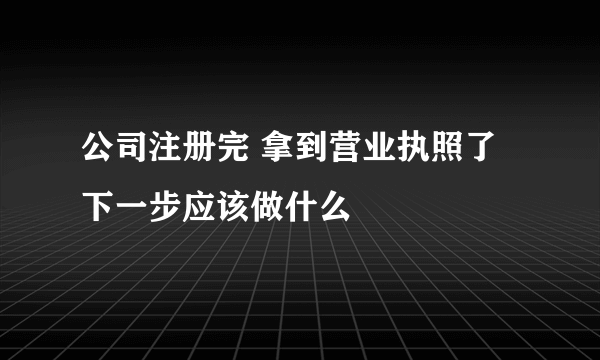 公司注册完 拿到营业执照了下一步应该做什么