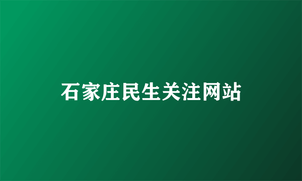 石家庄民生关注网站