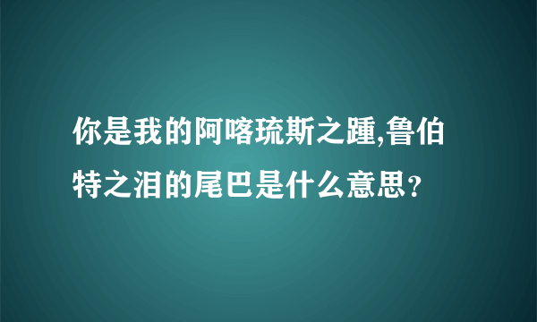 你是我的阿喀琉斯之踵,鲁伯特之泪的尾巴是什么意思？