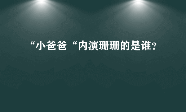 “小爸爸“内演珊珊的是谁？