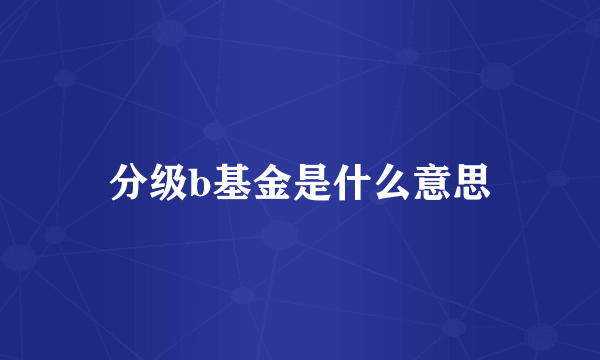 分级b基金是什么意思