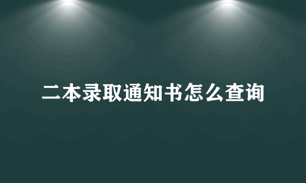 二本录取通知书怎么查询