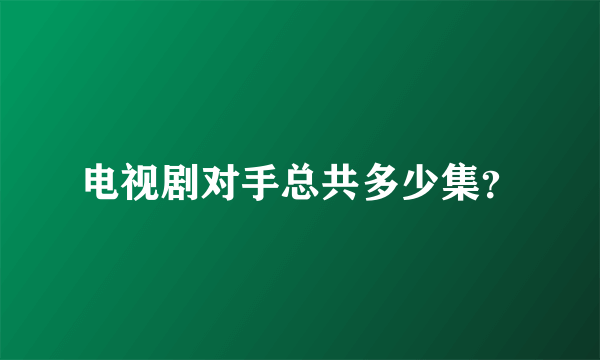 电视剧对手总共多少集？