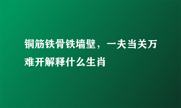 铜筋铁骨铁墙壁，一夫当关万难开解释什么生肖