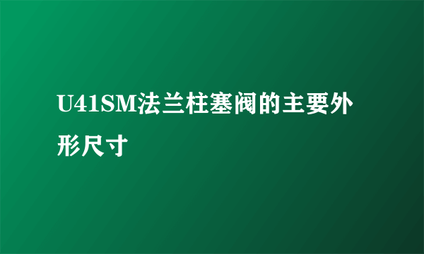 U41SM法兰柱塞阀的主要外形尺寸