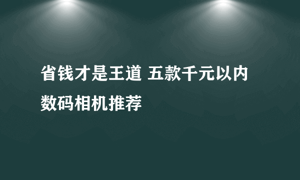 省钱才是王道 五款千元以内数码相机推荐