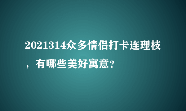 2021314众多情侣打卡连理枝，有哪些美好寓意？