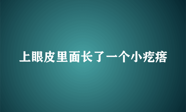 上眼皮里面长了一个小疙瘩