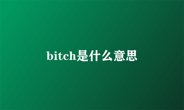 bitch是什么意思