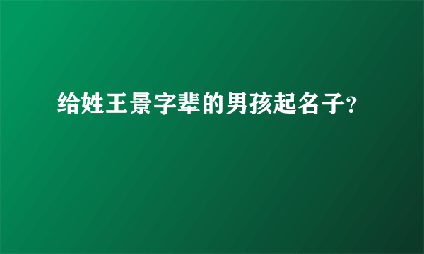 给姓王景字辈的男孩起名子？