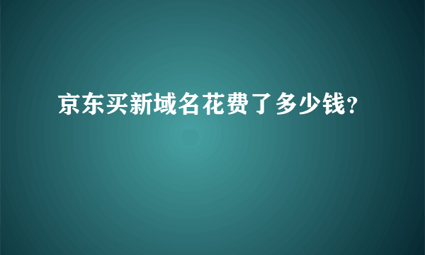 京东买新域名花费了多少钱？