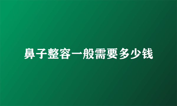 鼻子整容一般需要多少钱