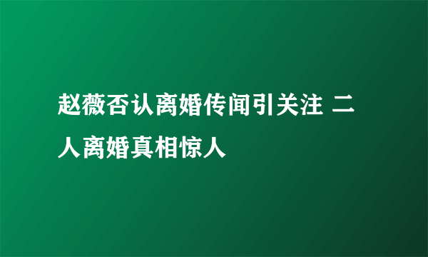 赵薇否认离婚传闻引关注 二人离婚真相惊人