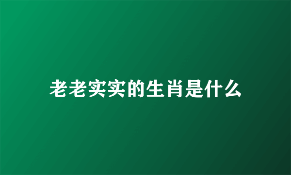 老老实实的生肖是什么