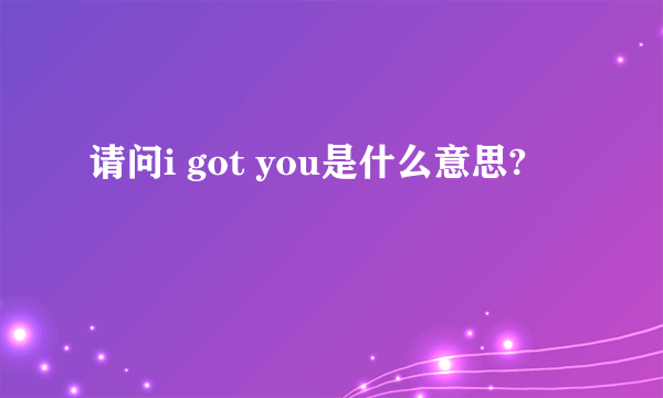 请问i got you是什么意思?