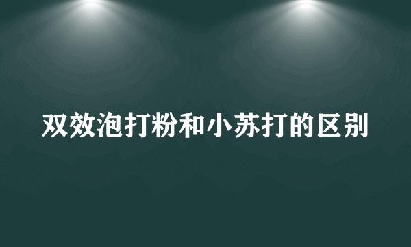 双效泡打粉和小苏打的区别