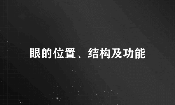 眼的位置、结构及功能