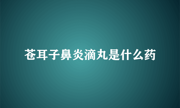 苍耳子鼻炎滴丸是什么药