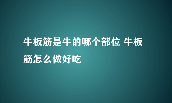 牛板筋是牛的哪个部位 牛板筋怎么做好吃