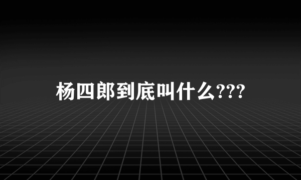 杨四郎到底叫什么???