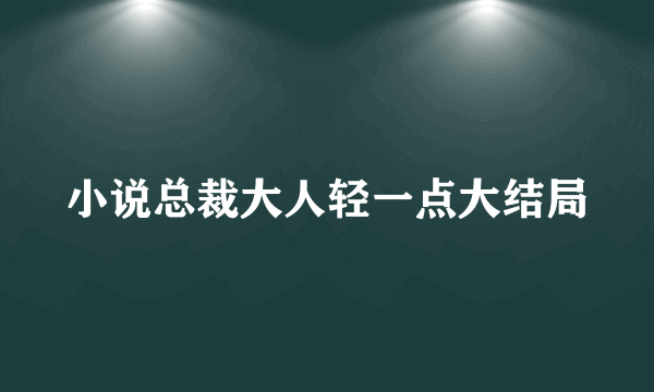 小说总裁大人轻一点大结局