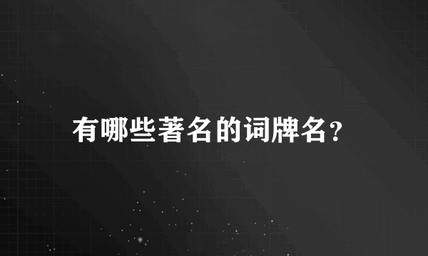 有哪些著名的词牌名？