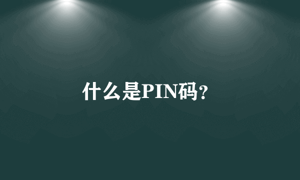 什么是PIN码？