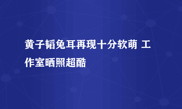 黄子韬兔耳再现十分软萌 工作室晒照超酷