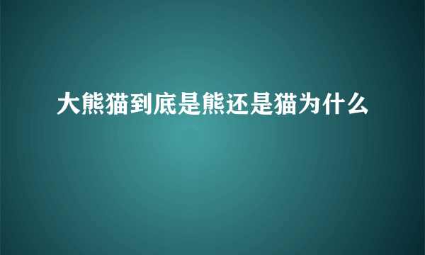 大熊猫到底是熊还是猫为什么