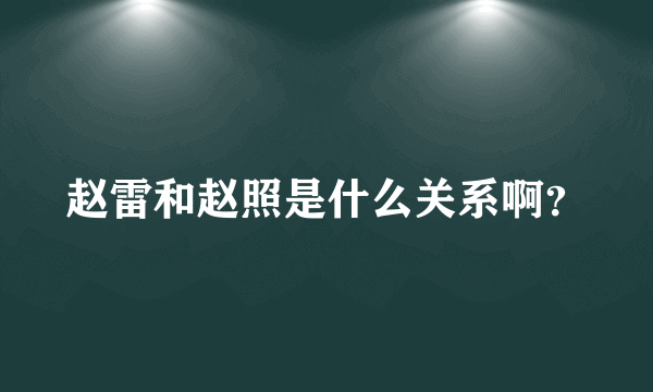 赵雷和赵照是什么关系啊？