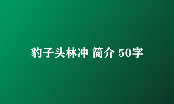 豹子头林冲 简介 50字