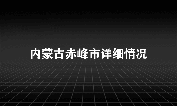 内蒙古赤峰市详细情况