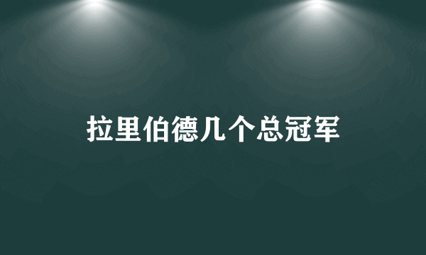 拉里伯德几个总冠军