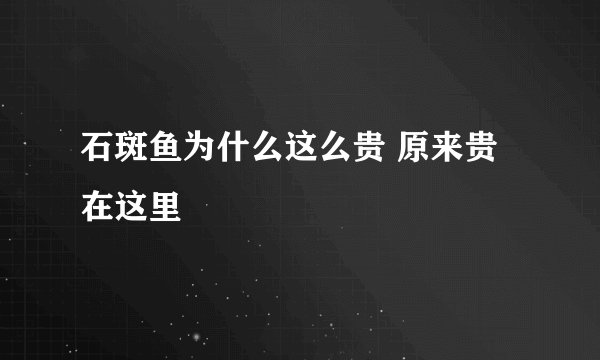 石斑鱼为什么这么贵 原来贵在这里