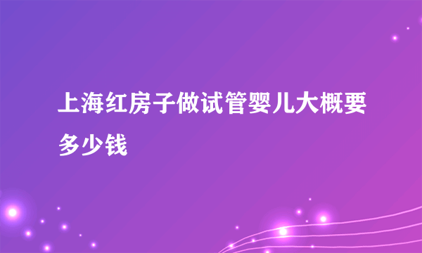 上海红房子做试管婴儿大概要多少钱