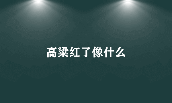 高粱红了像什么