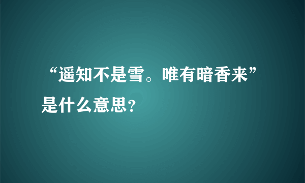 “遥知不是雪。唯有暗香来”是什么意思？