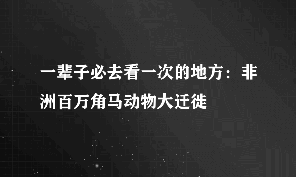 一辈子必去看一次的地方：非洲百万角马动物大迁徙