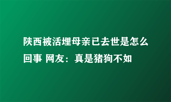 陕西被活埋母亲已去世是怎么回事 网友：真是猪狗不如