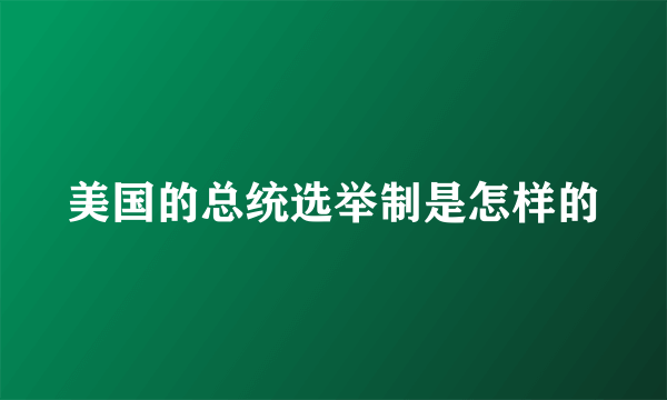 美国的总统选举制是怎样的